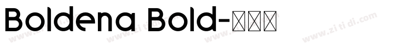 Boldena Bold字体转换